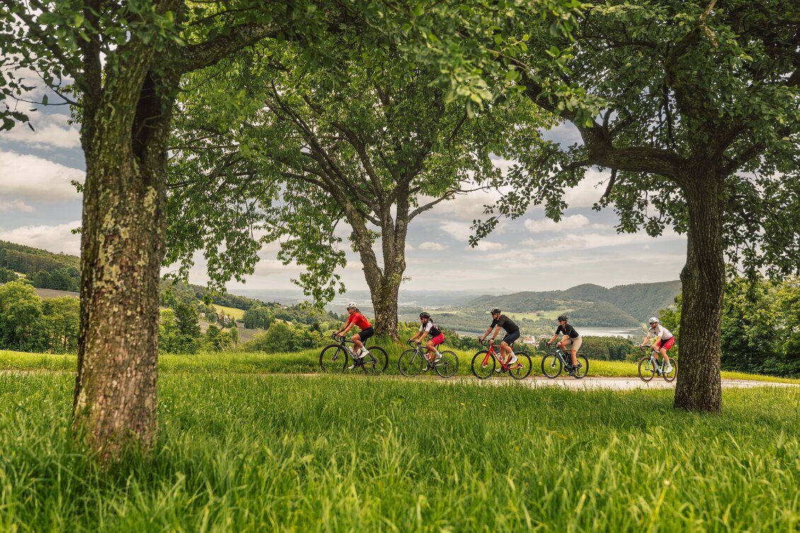 Road Cycling Castles and palaces round - Touren-Impression #1