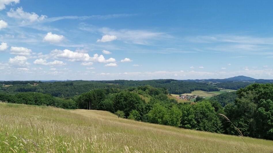 Hiking route 5 elements track (5-Elemente Weg) - route 3 - Touren-Impression #2.11 | © Thermen- & Vulkanland