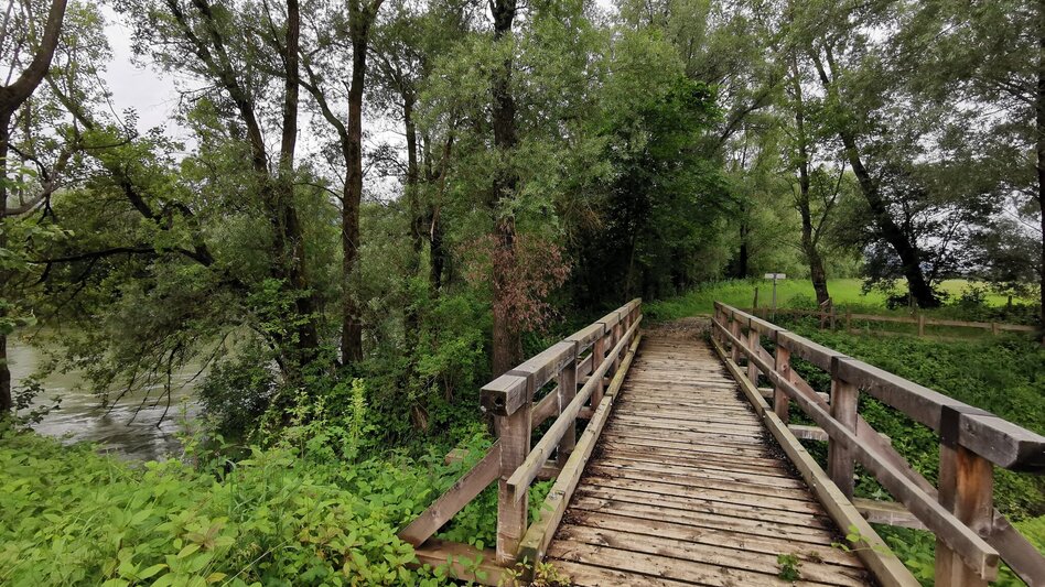 Hiking route Circular Hike to the Water Place at Enns river - Touren-Impression #2.1
