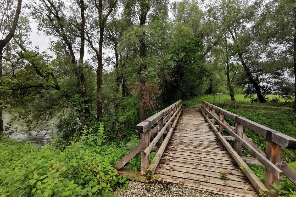 Hiking route Circular Hike to the Water Place at Enns river - Touren-Impression #1