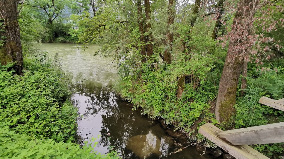 Hiking route Circular Hike to the Water Place at Enns river - Touren-Impression #2.2