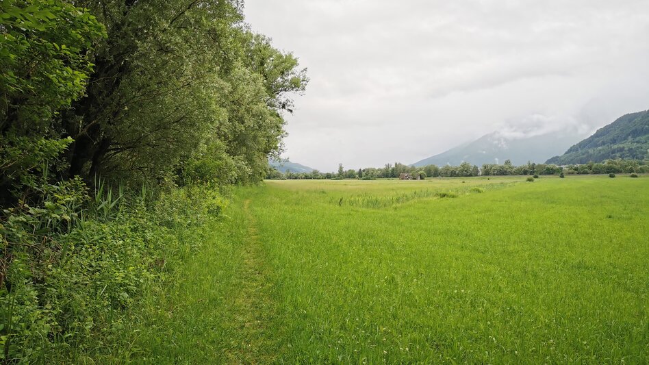Hiking route Circular Hike to the Water Place at Enns river - Touren-Impression #2.3