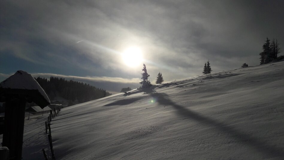 Winter Hiking Siebenkögel-Round Trip, Sommeralm - Touren-Impression #2.3 | © Oststeiermark Tourismus