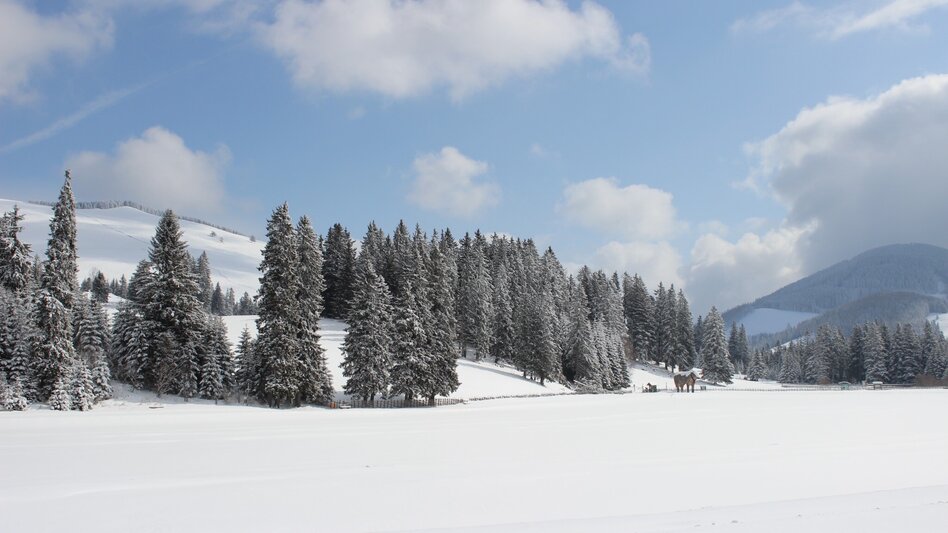 Winter Hiking Hochlantsch Hiking Tour - Touren-Impression #2.3 | © Oststeiermark Tourismus