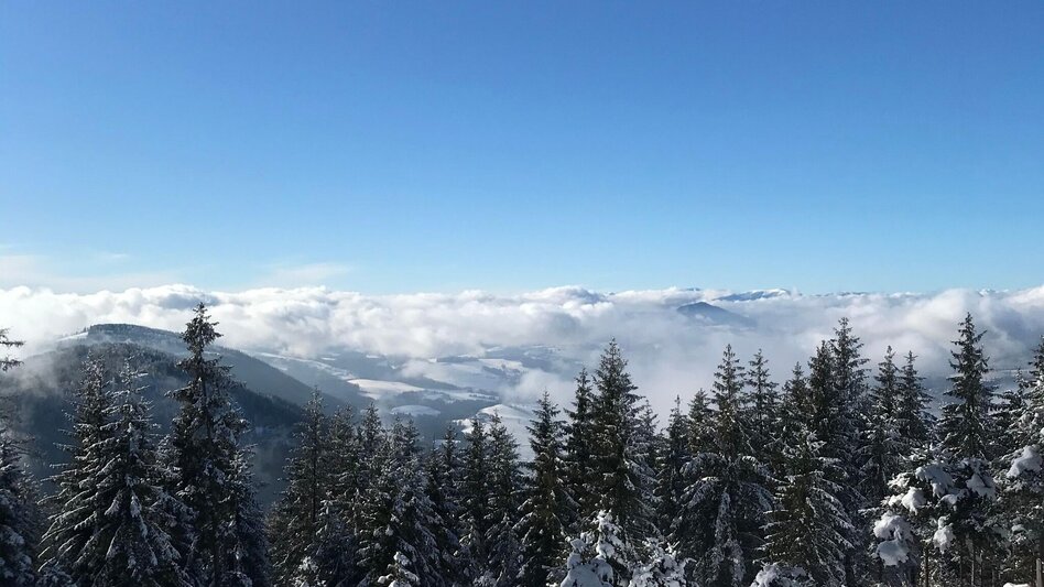 Winterwandern Winterwandern Patscha-Runde, St. Kathrein am Offenegg - Touren-Impression #2.2 | © Oststeiermark Tourismus