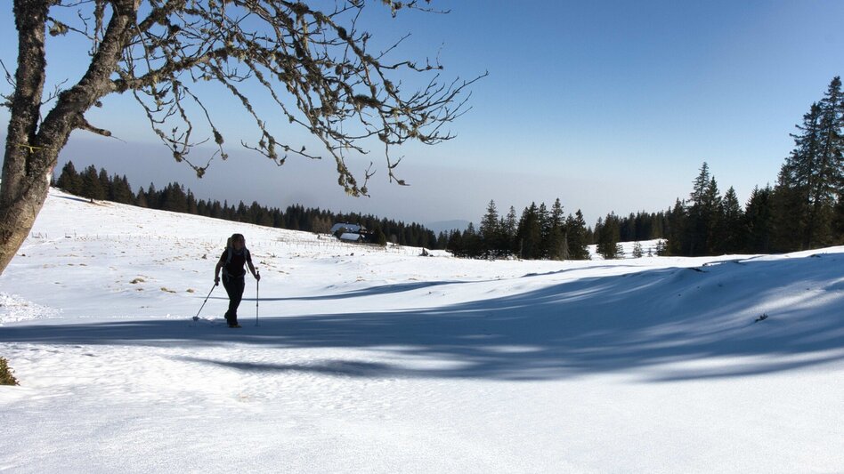 Schneeschuh Glitzalm - Von Alm zu Alm auf der verschneiten Koralpe - Touren-Impression #2.1 | © Weges OG