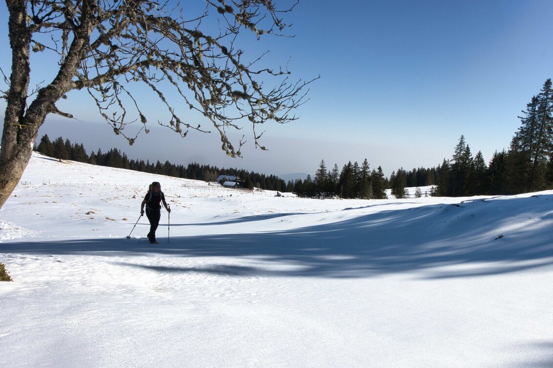 Schneeschuh Glitzalm - Von Alm zu Alm auf der verschneiten Koralpe - Touren-Impression #1 | © Weges OG