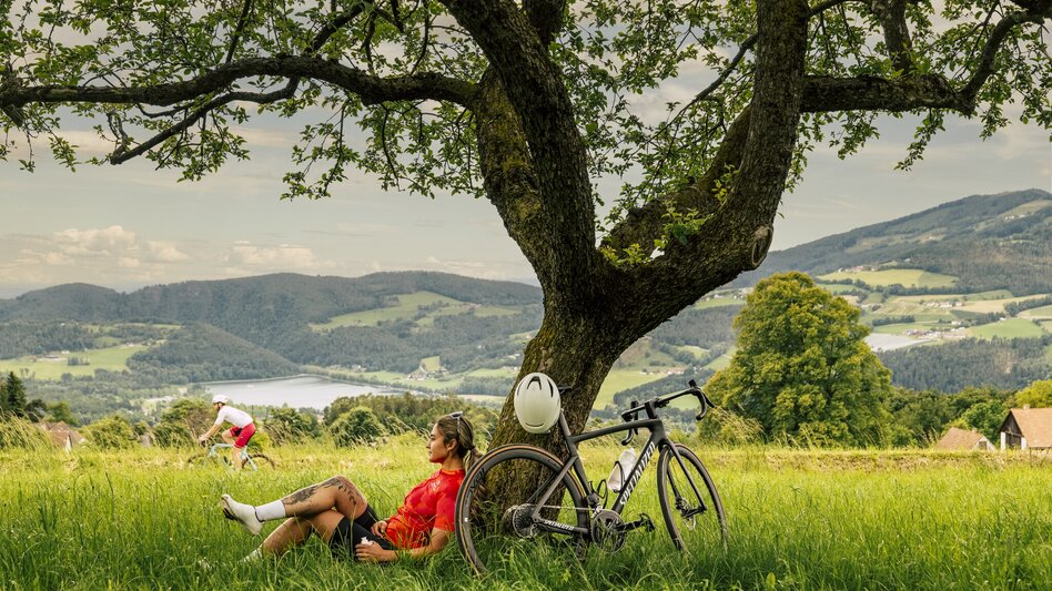 Road Cycling Off to the south round - Touren-Impression #2.1