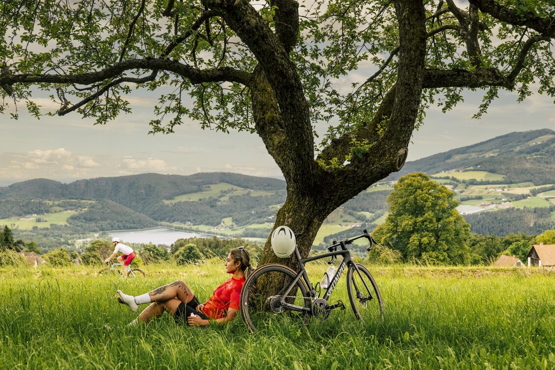 Road Cycling Off to the south round - Touren-Impression #1