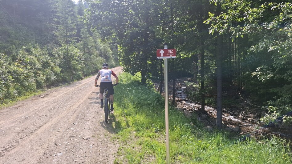 Mountain Biking Neu - Altes Almhaus Tour 182 - MTB Tour - Touren-Impression #2.2 | © Region Graz