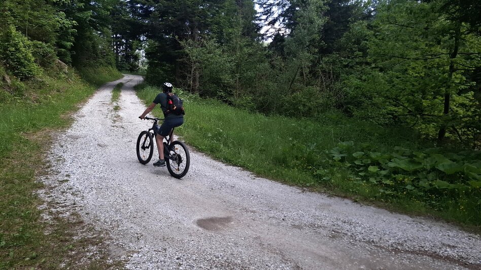 Mountain Biking Neu - Altes Almhaus Tour 182 - MTB Tour - Touren-Impression #2.3 | © Region Graz