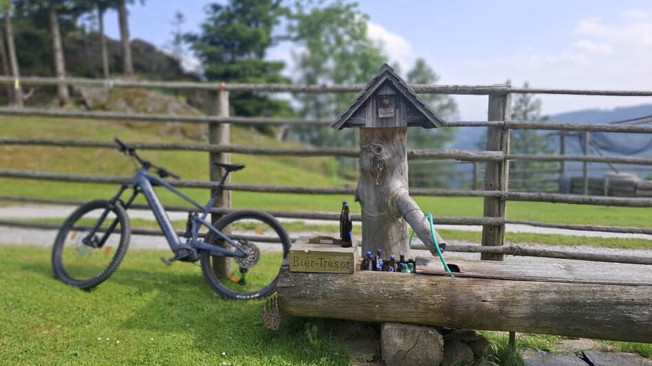 Mountain Biking Neu - Altes Almhaus Tour 182 - MTB Tour - Touren-Impression #2.4 | © Region Graz