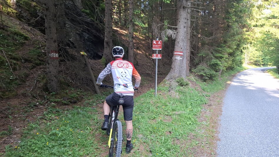 Mountain Biking Neu - Altes Almhaus Tour 182 - MTB Tour - Touren-Impression #2.7 | © Region Graz