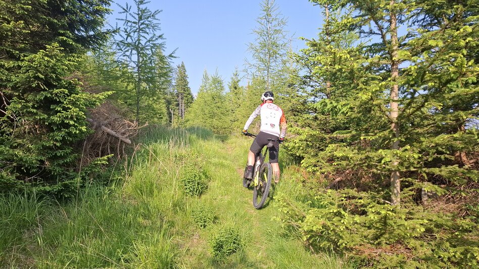 Mountain Biking Neu - Altes Almhaus Tour 182 - MTB Tour - Touren-Impression #2.8 | © Region Graz