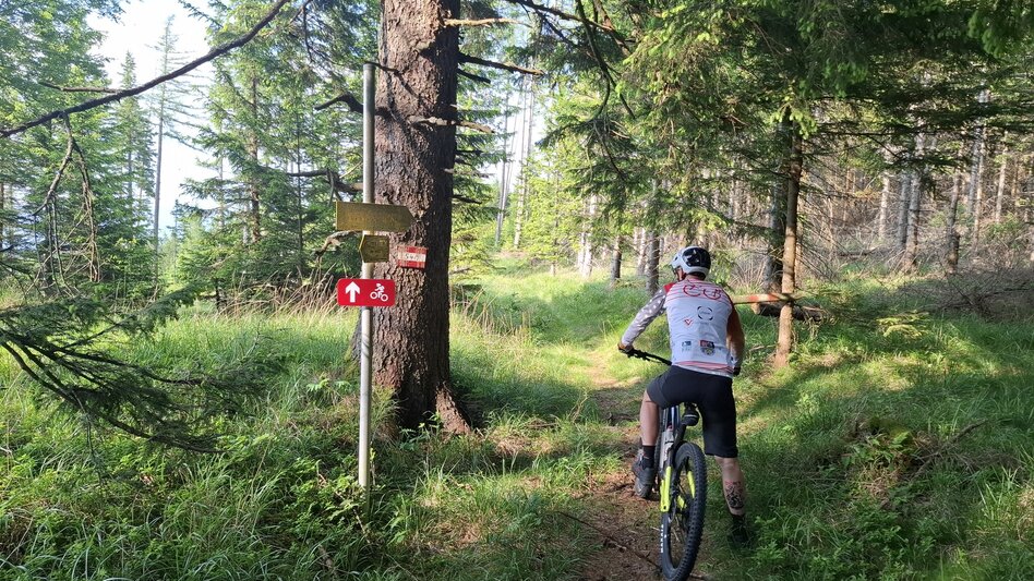 Mountain Biking Neu - Altes Almhaus Tour 182 - MTB Tour - Touren-Impression #2.9 | © Region Graz