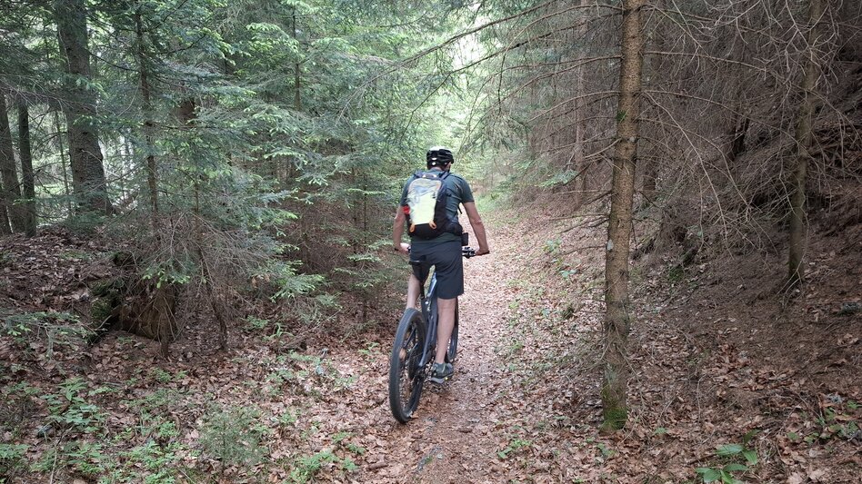 Mountain Biking Neu - Altes Almhaus Tour 182 - MTB Tour - Touren-Impression #2.10 | © Region Graz