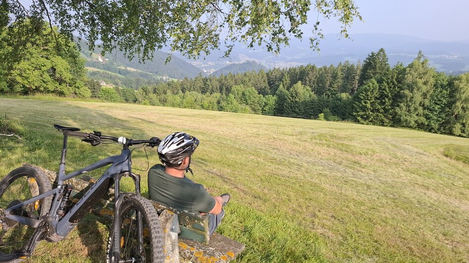 Mountain Biking Neu - Altes Almhaus Tour 182 - MTB Tour - Touren-Impression #2.11 | © Region Graz