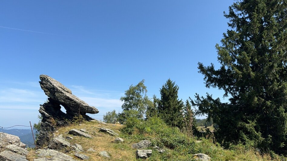 Hiking route Rundwanderung im Bermuda-Viereck - Touren-Impression #2.4