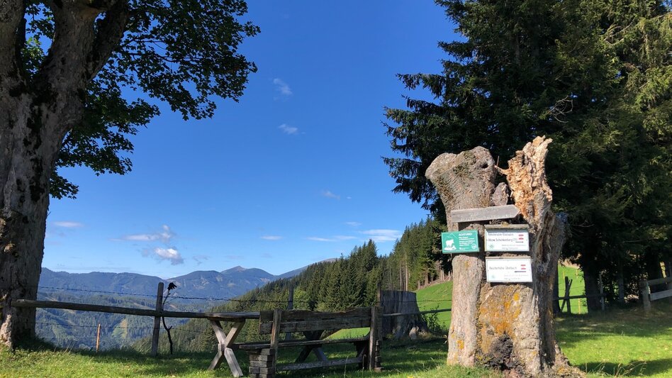 Hiking route Rundwanderung im Bermuda-Viereck - Touren-Impression #2.6