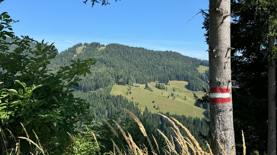 Hiking route Rundwanderung im Bermuda-Viereck - Touren-Impression #2.9