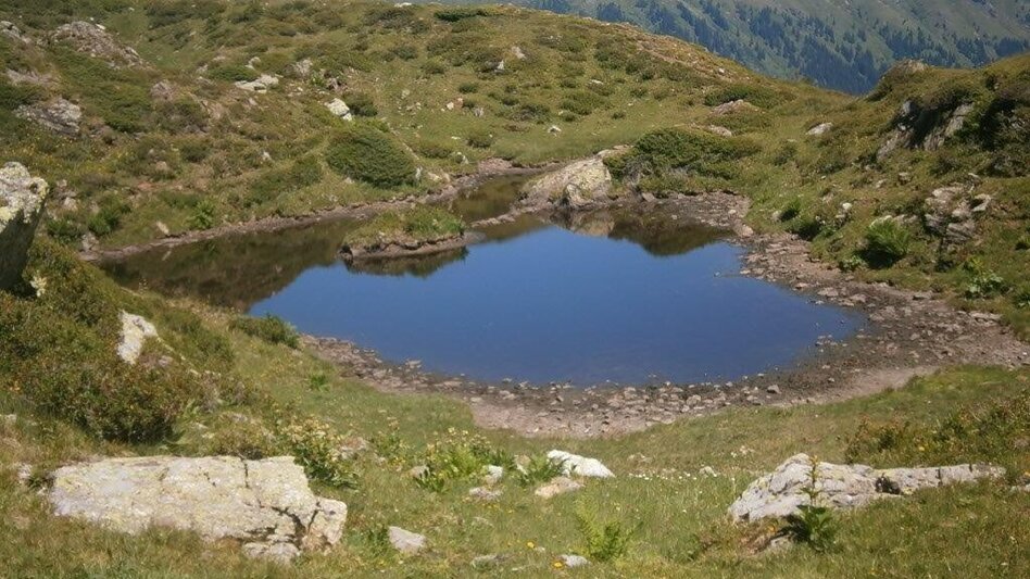 Bergtour Hohenwart in Pusterwald - Touren-Impression #2.4 | © Erlebnisregion Murtal