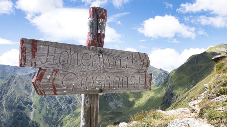 Bergtour Hohenwart in Pusterwald - Touren-Impression #2.3 | © WEGES OG