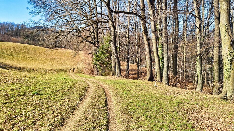 Hiking route 3 Antonienhöhe-Rundweg Frohnleiten bewegt - Touren-Impression #2.2 | © Weges OG