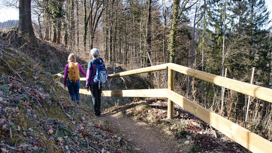 Hiking route 3 Antonienhöhe-Rundweg Frohnleiten bewegt - Touren-Impression #2.4 | © Weges OG
