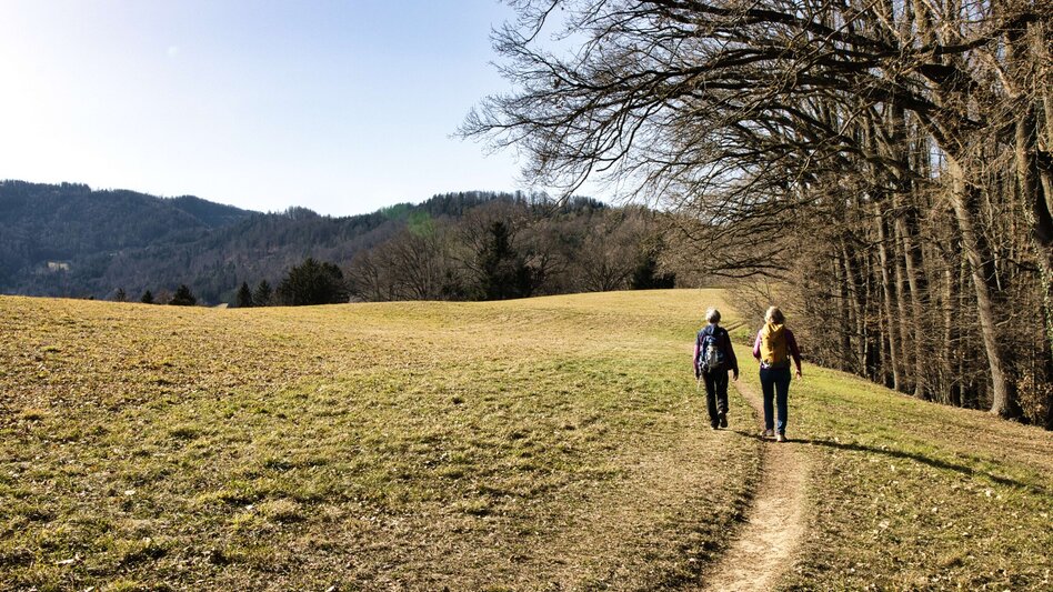 Hiking route 3 Antonienhöhe-Rundweg Frohnleiten bewegt - Touren-Impression #2.5 | © Weges OG