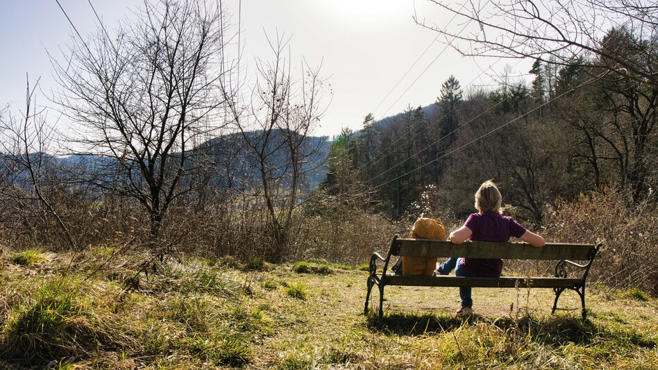 Hiking route 3 Antonienhöhe-Rundweg Frohnleiten bewegt - Touren-Impression #2.6 | © Weges OG
