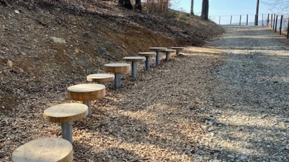 Hiking route Adventure trail over the Klaus'n, Pöllauberg - Touren-Impression #2.7