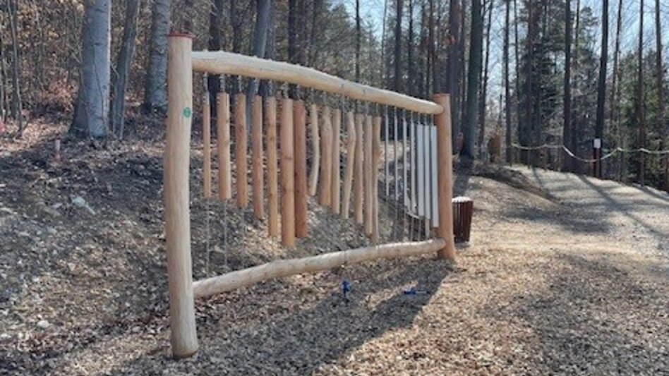 Hiking route Adventure trail over the Klaus'n, Pöllauberg - Touren-Impression #2.8