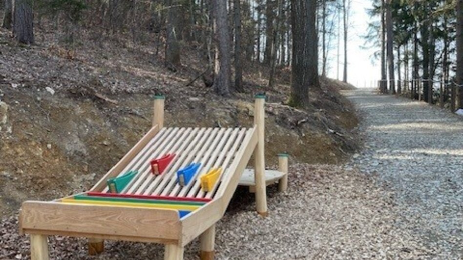 Hiking route Adventure trail over the Klaus'n, Pöllauberg - Touren-Impression #2.14