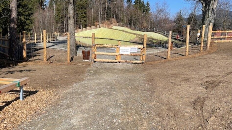 Hiking route Adventure trail over the Klaus'n, Pöllauberg - Touren-Impression #2.15