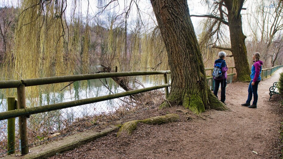 Hiking route 6_Adriacher Höhenweg - Frohnleiten bewegt - Touren-Impression #2.3 | © Weges OG