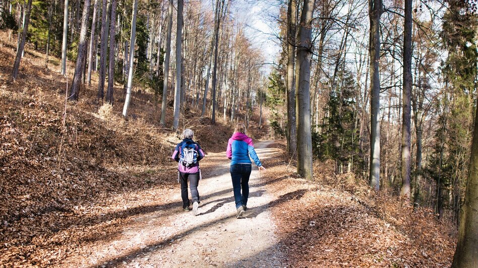 Hiking route 6_Adriacher Höhenweg - Frohnleiten bewegt - Touren-Impression #2.4 | © Weges OG