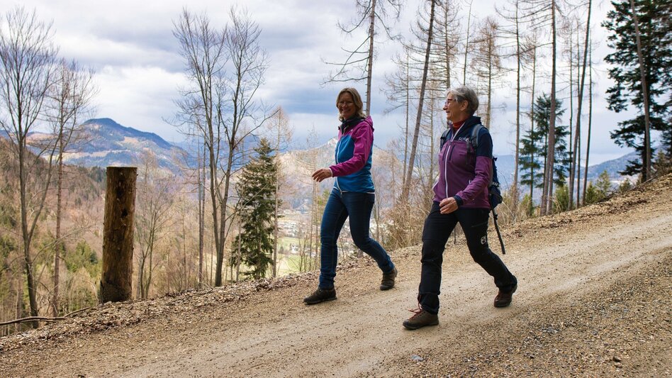 Hiking route 6_Adriacher Höhenweg - Frohnleiten bewegt - Touren-Impression #2.11 | © Weges OG
