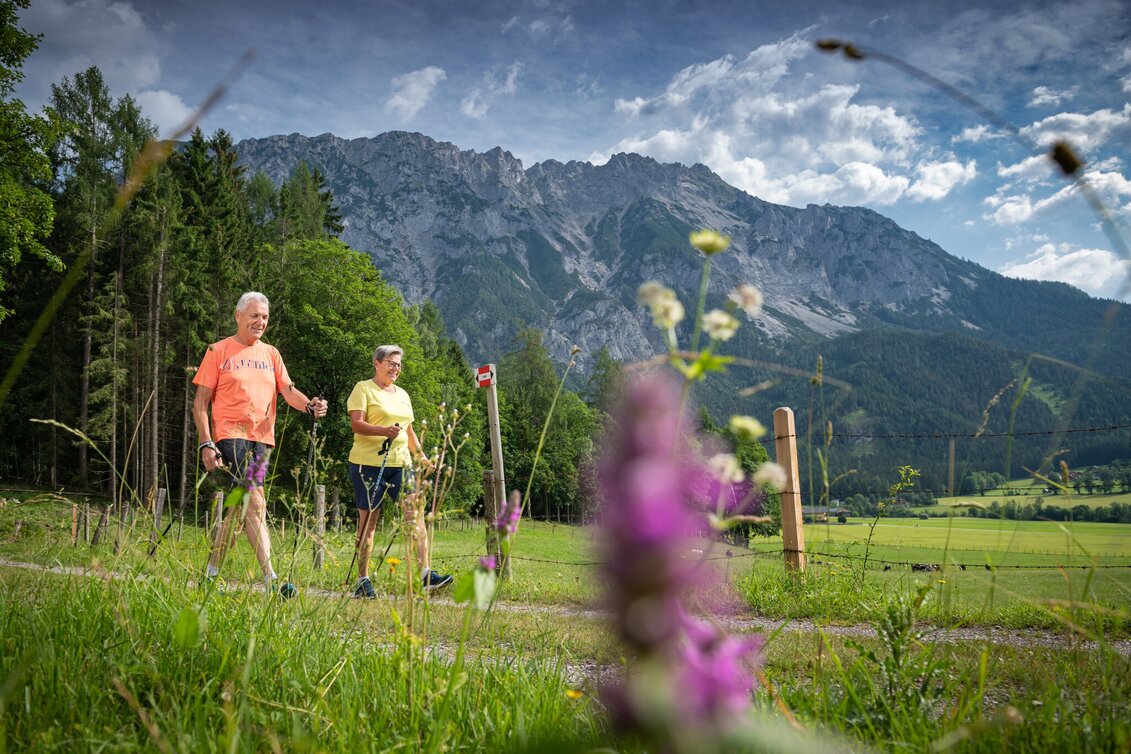 Promenade routes Senioren Runde - Touren-Impression #1