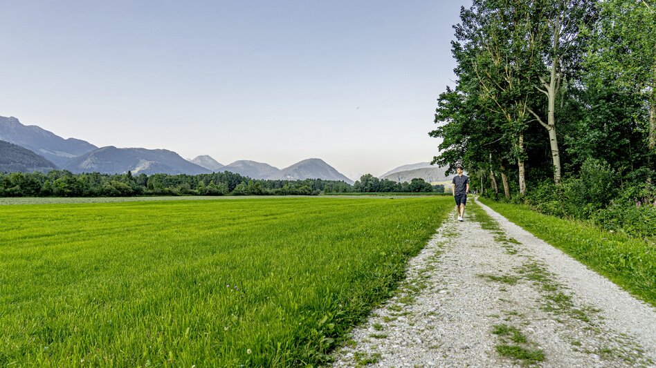 Hiking route Nature.Power.Place Circuit Fürstensteig-Enns - Touren-Impression #2.1