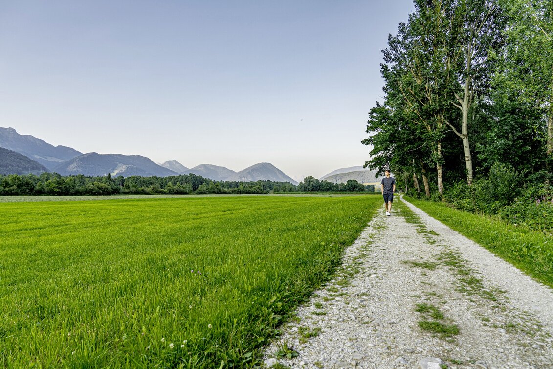 Hiking route Nature.Power.Place Circuit Fürstensteig-Enns - Touren-Impression #1