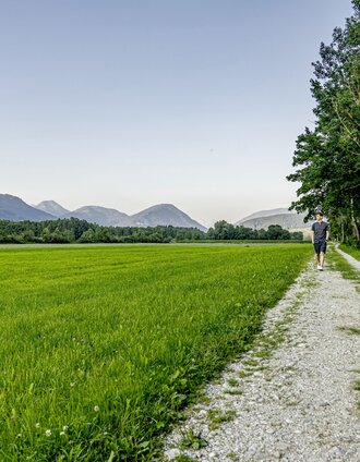 Enns-Wörschacher Moosweg 031 © Christoph Lukas (2021-07).jpg | © Christoph Lukas | Christoph Lukas