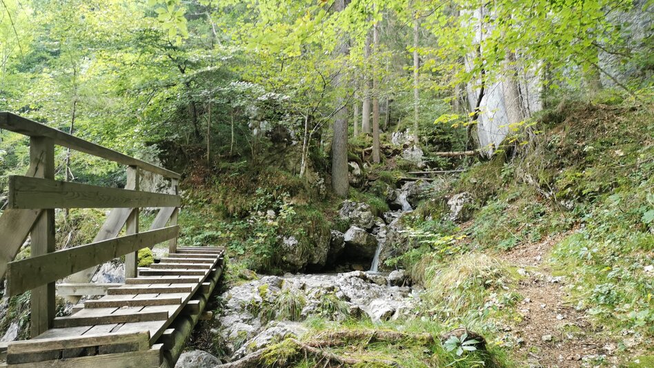 Hiking route Nature.Power.Place Circuit Fürstensteig-Enns - Touren-Impression #2.7