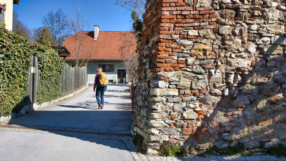 Wanderung Rundweg 5 - Schloss Weyer ( Frohnleiten in Bewegung) - Touren-Impression #2.6 | © Weges OG