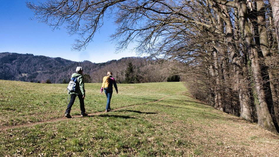 Wanderung Rundweg 5 - Schloss Weyer ( Frohnleiten in Bewegung) - Touren-Impression #2.7 | © Weges OG