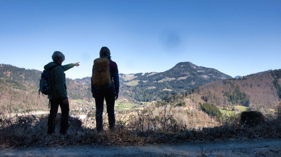 Wanderung Rundweg 5 - Schloss Weyer ( Frohnleiten in Bewegung) - Touren-Impression #2.8 | © Weges OG