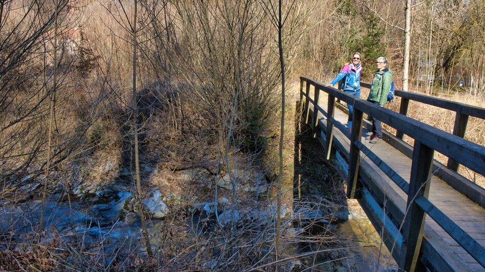 Wanderung Rundweg 5 - Schloss Weyer ( Frohnleiten in Bewegung) - Touren-Impression #2.10 | © Weges OG