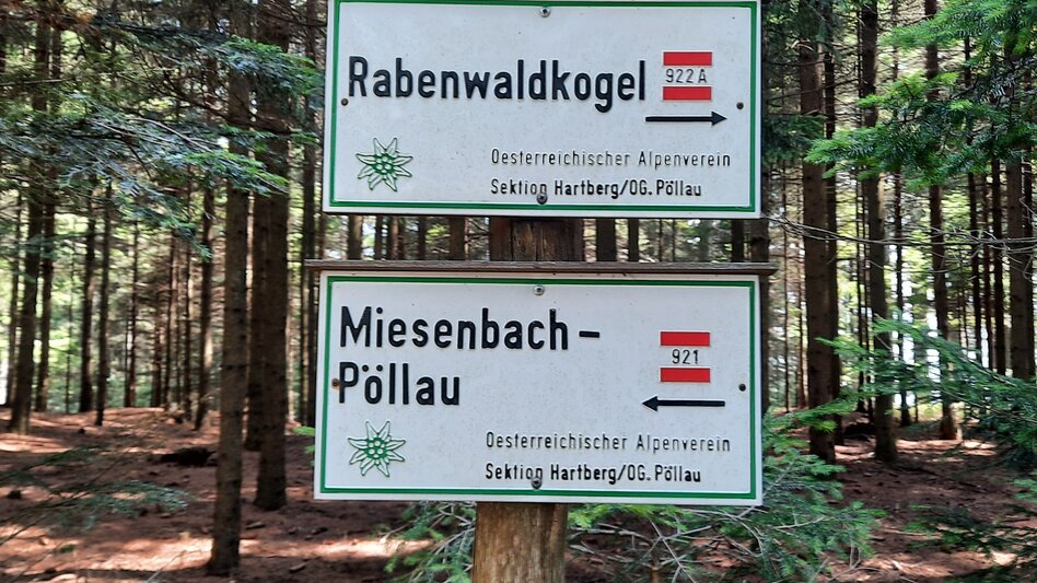 Wanderung Pöllau-Runde über Rabenwaldkogel und Alpenkräutergarten Käfer, Pöllau - Touren-Impression #2.3 | © Oststeiermark Tourismus