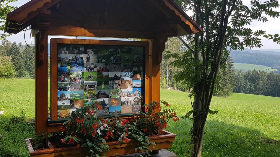 Wanderung Pöllau-Runde über Rabenwaldkogel und Alpenkräutergarten Käfer, Pöllau - Touren-Impression #2.8 | © Oststeiermark Tourismus