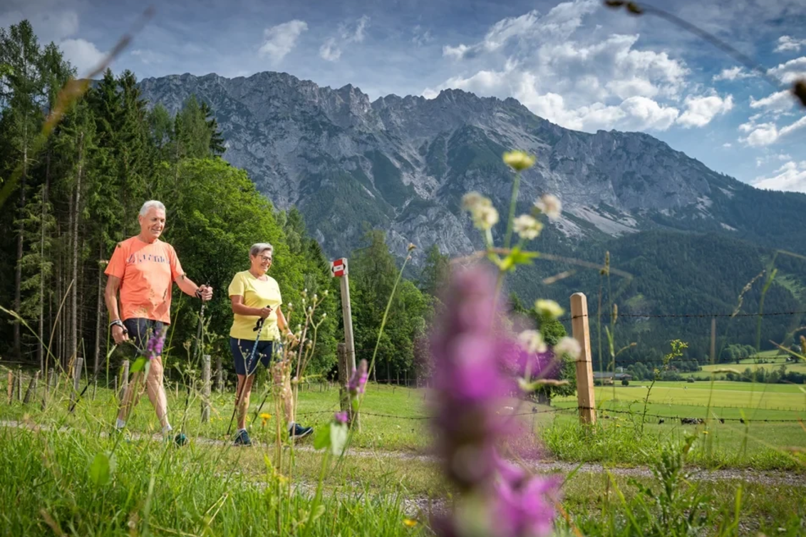 Wanderung Weitwanderweg G13 (Bewegungsarena Gröbminger Land) - Touren-Impression #1