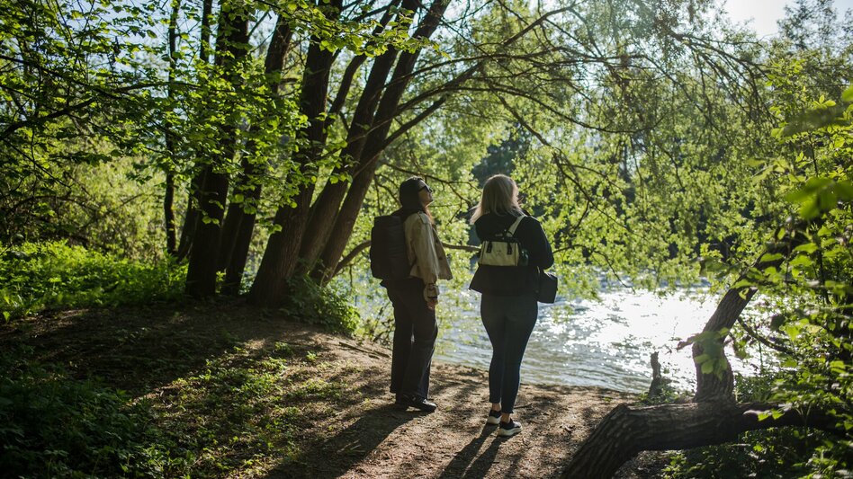 Wanderung Waldlehrpfad Zeltweg - Touren-Impression #2.2 | © ANITA_FOESSL